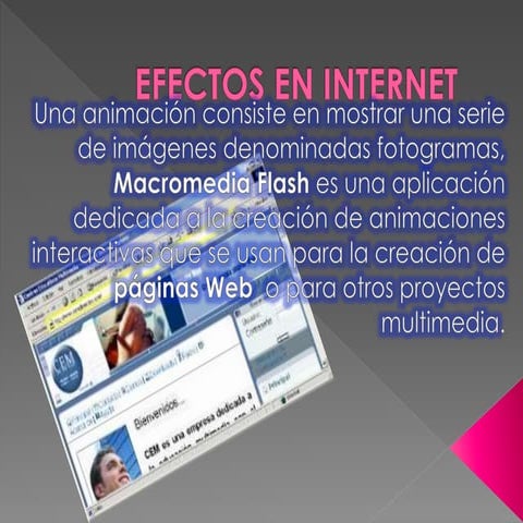 Manual de-flash-8 | PDF
