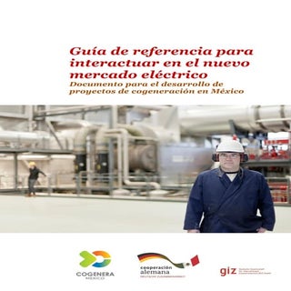 2015 - GIZ Cogenera - Guía de refer...