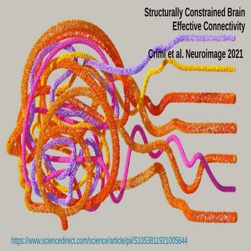 Structurally constrained effective brain connectivity