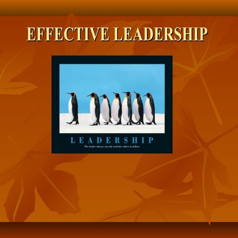 Effective Leadership