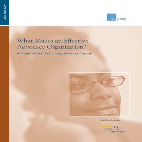 Effective advocacy final