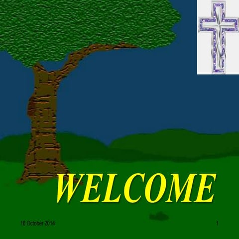 An Effective Counselor and Counselling Process