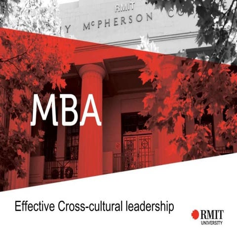 CROSS CULTURAL LEADERSHIP STRATEGIES FOR EFFECTIVE INTERNATIONAL visual data 5