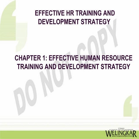 Effective HR Training & Development Strategies