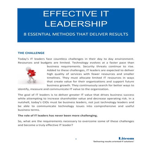The IT Management Function | PPTX
