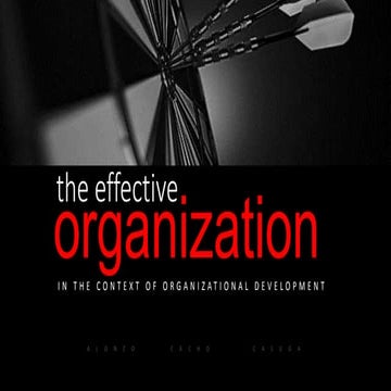 Effective organization in a context of organizational development