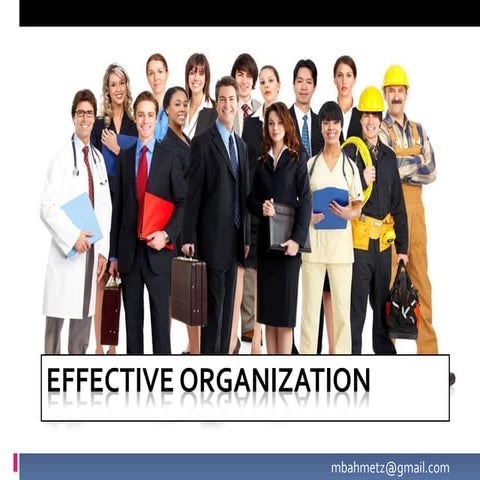 EFFECTIVE ORGANIZATION