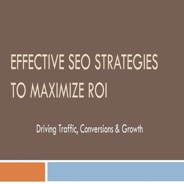 Effective SEO Strategies to Maximize ROI.pdf