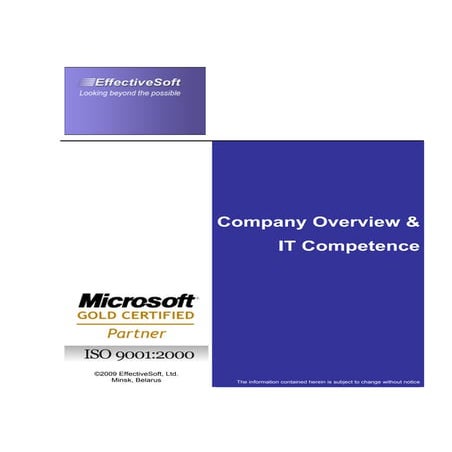 Effective Soft. Company Overview & It Competence