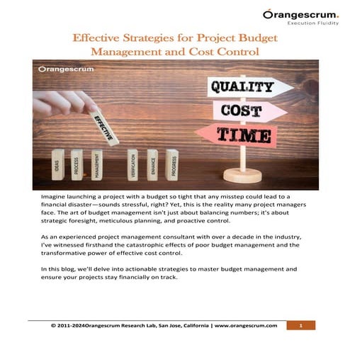 Effective Strategies for Project Budget Management and Cost Control.pdf