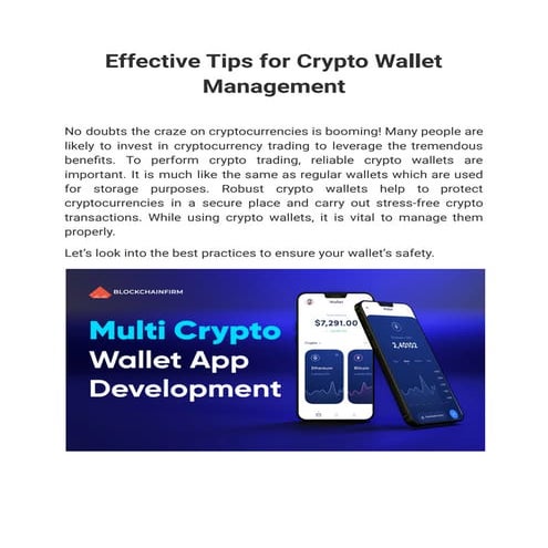 Understanding Digital Wallet Fraud & FAQ | PDF