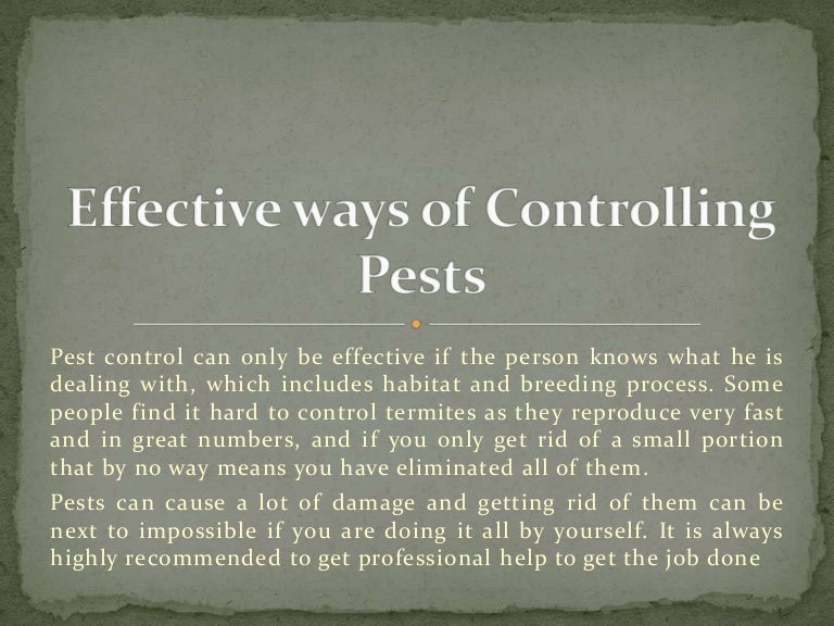 Effective ways of controlling pests Pest control Columbia