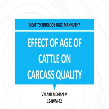 Effect of Age of Cattle on Carcass Composition