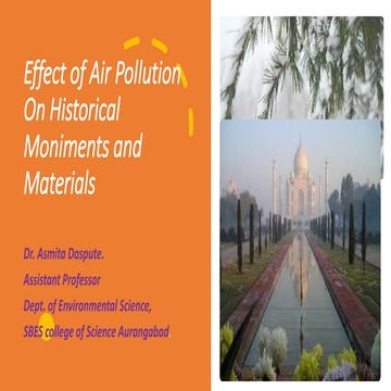 Effect of air pollution on historical moniments and