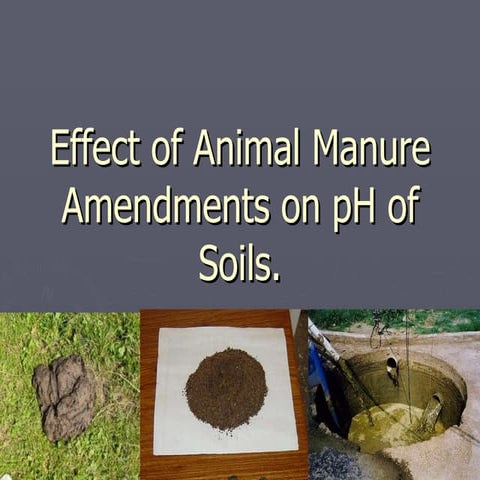 Effect Of Animal Manure Amendments On P H Of Soils