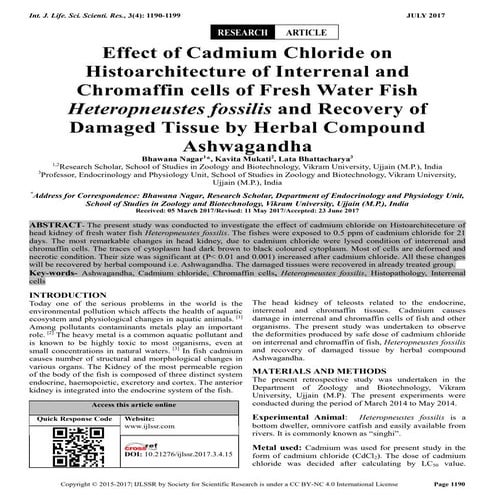Effect of cadmium chloride on fresh water fish heteropneustes fossilis ...