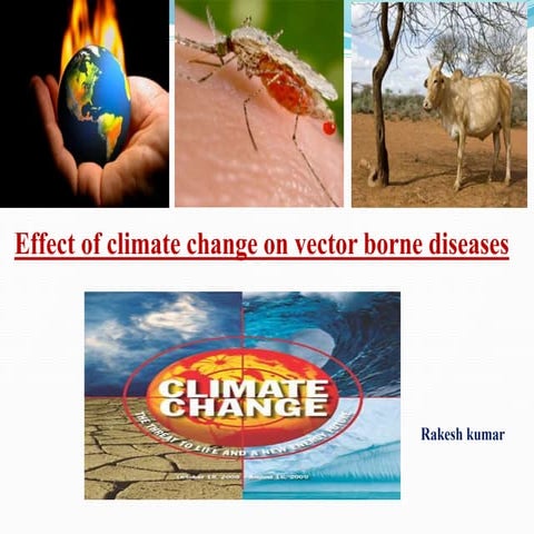Effect of climate cange on vetor borne diseases