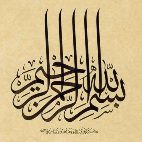 Effect of climate change on migration of birds A Presentation ByMr. Allah  d...