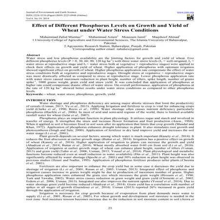 Effect of different phosphorus levels on growth and yield of wheat ...