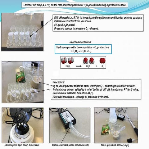 IA on effect of diff pH (1,4,5,7,9) on the rate of decomposition of ...