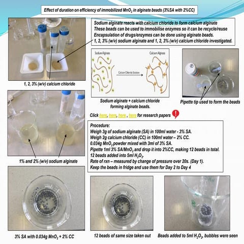 IA on effect of duration on efficiency of immobilized MnO2 in alginate beads (3%SA with 2%CC).