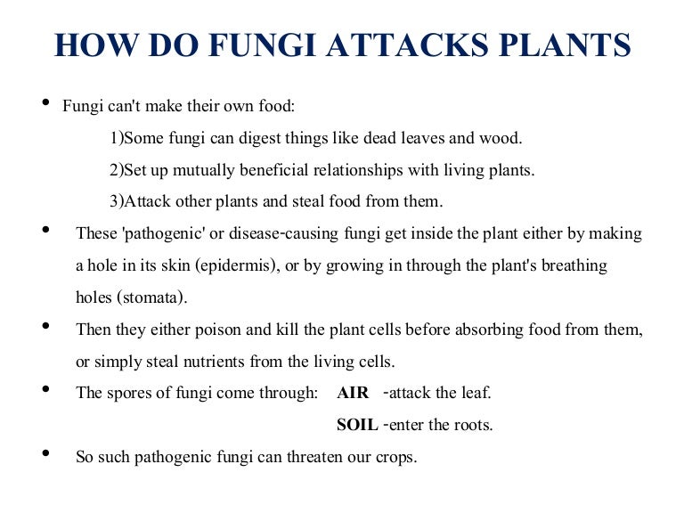 Effect of fungus on plants