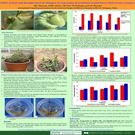 Effect of heat and drought stress in chickpea on expression of resistance to ...