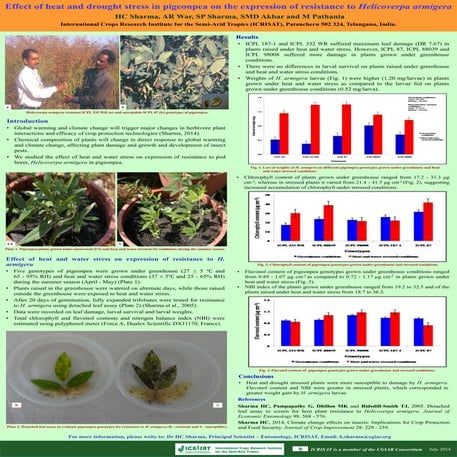 Effect of heat and drought stress in pigeonpea on the expression of resistanc...
