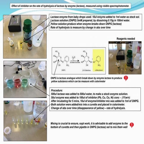 IA on effect of inhibitor on the rate of hydrolysis of lactose (ONPG) by enzy...