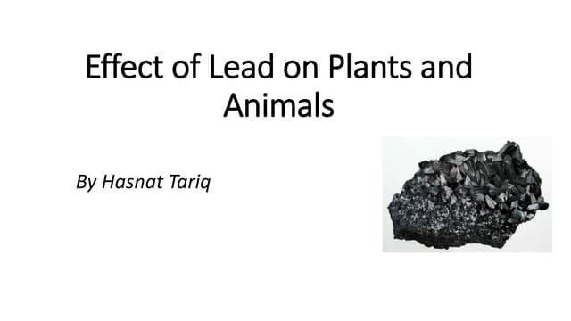 Effect of lead on plants and animals 
