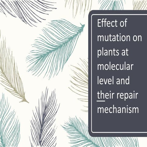 Effect of mutation on plant at molecular level and their repair mechanism