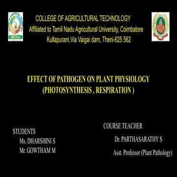 Effect of pathogen on plant physiology