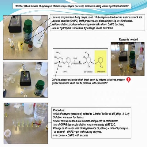 IA on effect of pH on the rate of hydrolysis of lactose (ONPG) by enzyme (lac...