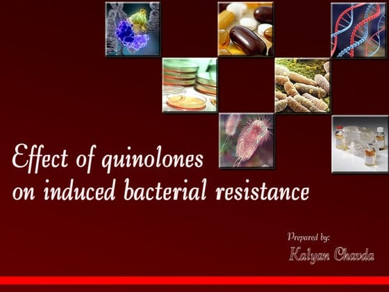 Quinolones | PPTX | Infectious Diseases | Diseases and Conditions
