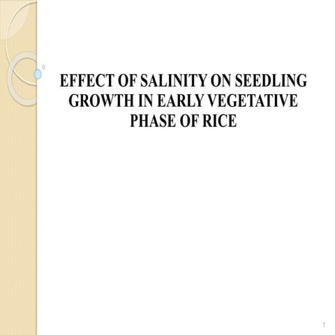 Effect of salinity on seedling growth in early vegetative phase of rice