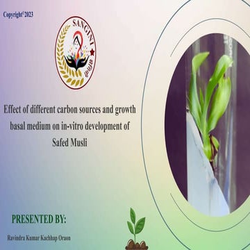 Effect of sucrose concentration and growth basal medium on in-vitro ...