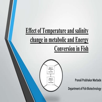 Effect of Temperature and salinity change in metabolic.pptx