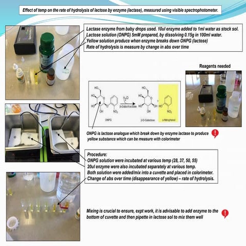 IA on effect of temperature on the rate of hydrolysis of lactose (ONPG) by en...
