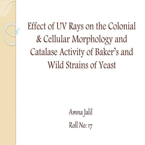 Effect of UV Rays on the Colonial & Cellular Morphology and Catalase Activity...