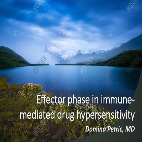 Effector phase in immune mediated drug hypersensitivity