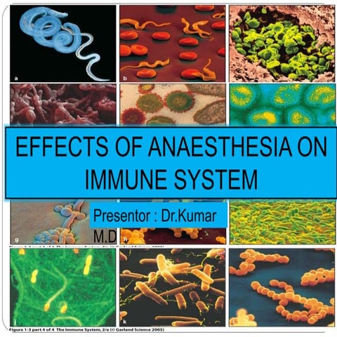 Effects of anaesthesia on immune system