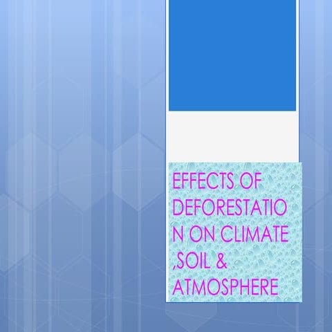 Effects of deforestation on climate