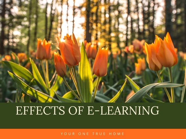 Effects of e learning