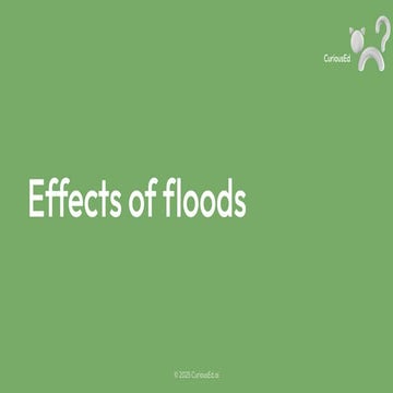 Effects of Floods on People and Communities | PDF