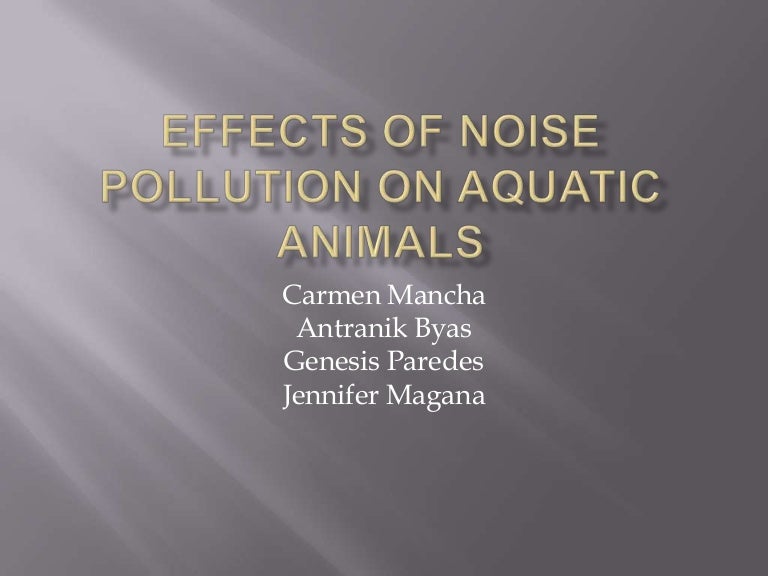 Effects Of Noise Pollution On Aquatic Animals