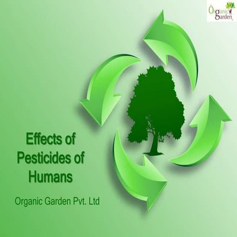 Effects of pesticides of humans