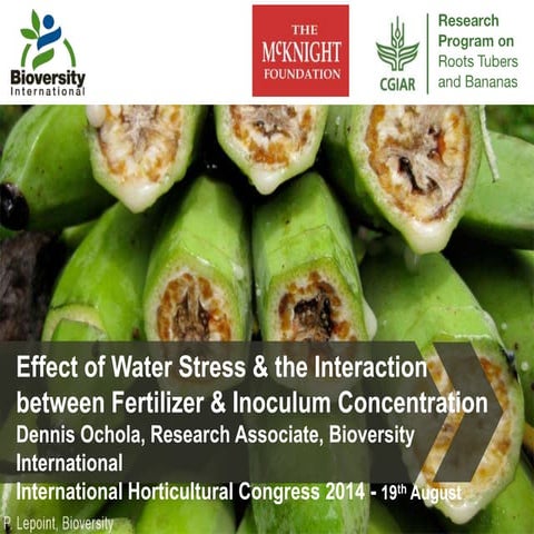 Effect of Water Stress & the Interaction between Fertilizer & Inoculum Concen...