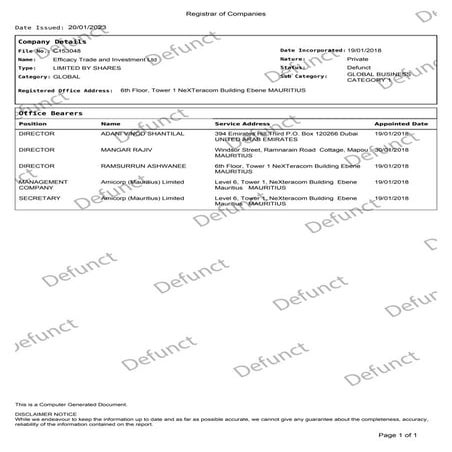 Efficacy Trade and Investment Ltd.pdf