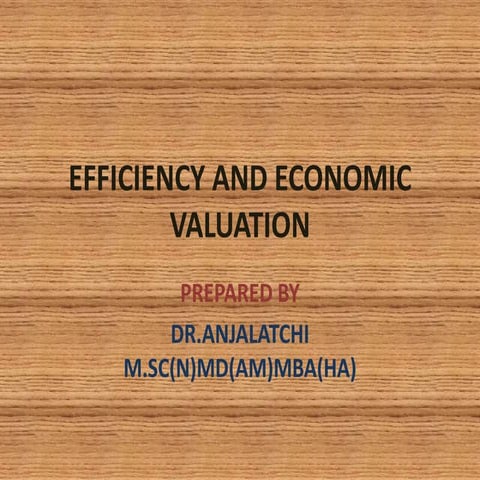 Efficiency and economic valuation ppt