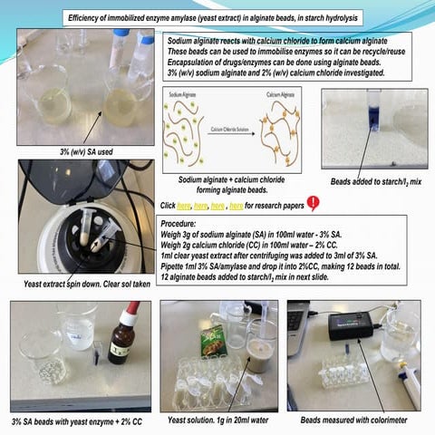 IA on efficiency of immobilized enzyme amylase (yeast extract) in alginate beads, in starch hydrolysis.